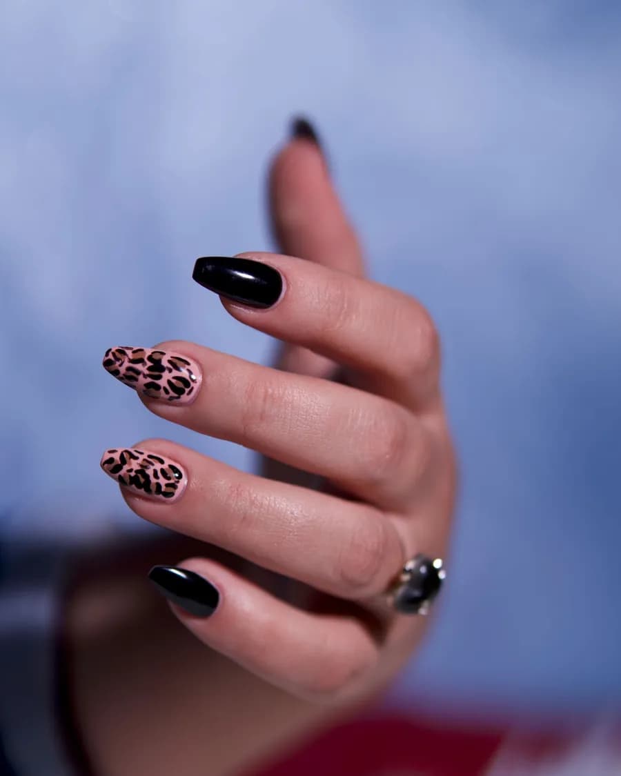 Léopard Noir — L'animalier fin, alterné avec du noir laqué.